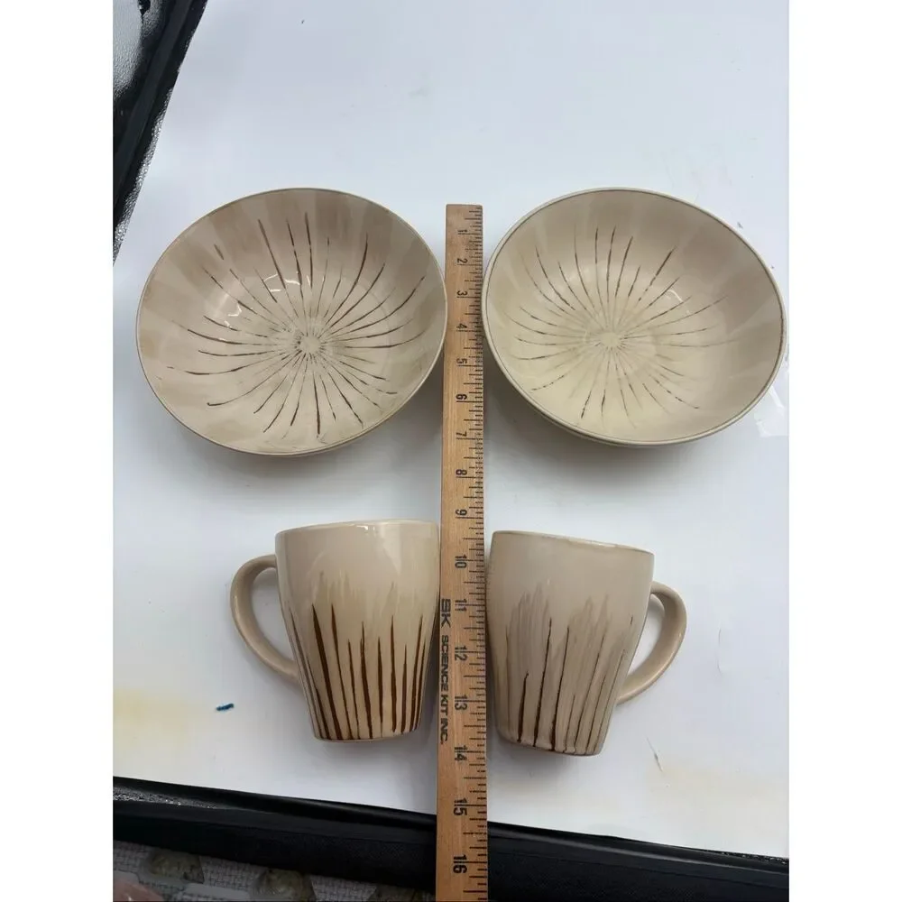 Pier 1 Sanctuary Stoneware Latte Mug & Soup/Pasta Bowl Set of 2 Place Settings
